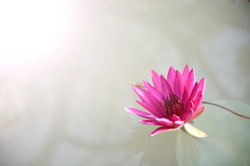 Yin Yoga Pose
